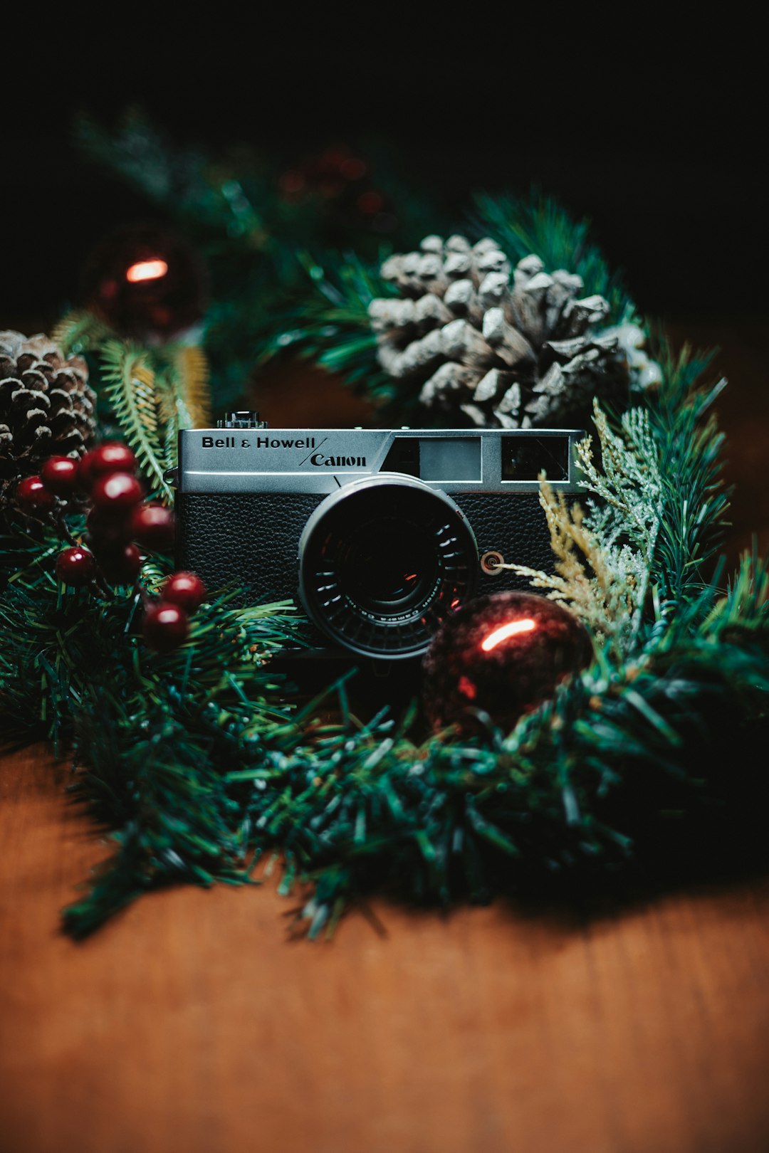a camera on a tree