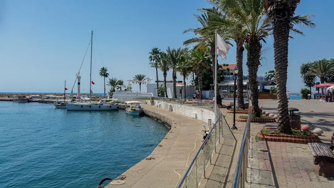 A view of a harbor with boats and palm trees