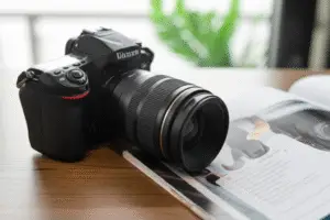 Featured image for Which Camera Brand Is Best for Photography Beginners 2025