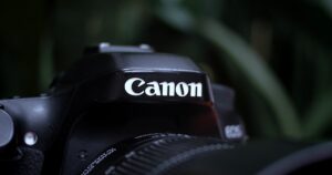 Featured image for Do Professional Photographers Prefer Canon or Nikon The 12-Point Showdown 2026